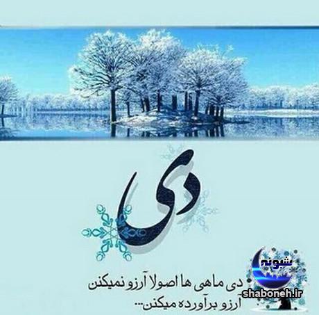 عکس پروفایل متولدین دی ماه + عکس نوشته دی ماهی ام