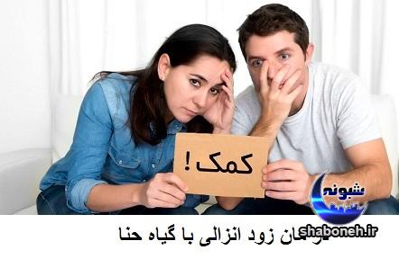خوراکی های مفید برای درمان زودانزالی + درمان با حنا