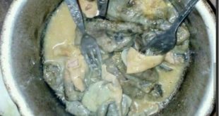 گربه خوردن روستاییان زابلی