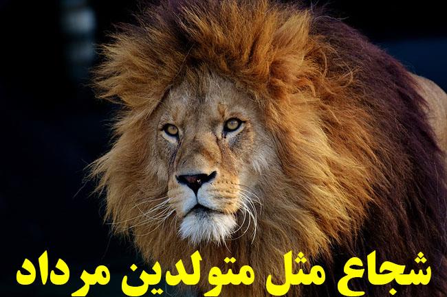 عکس پروفایل مردادی ام و عکس نوشته متولدین مرداد