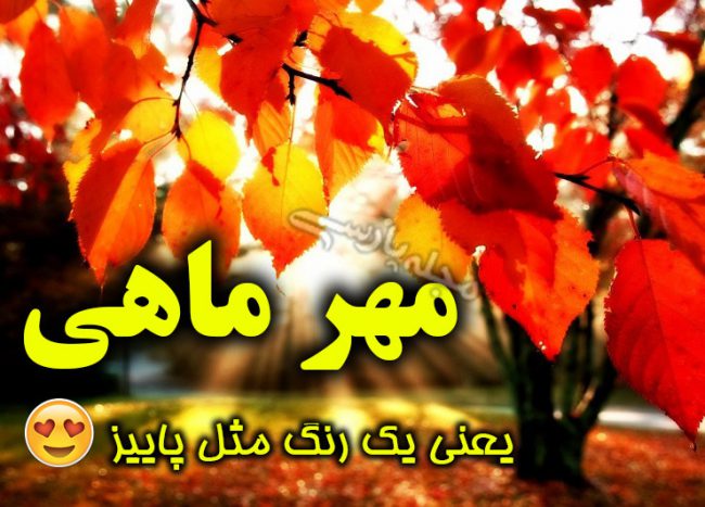 خوشبختی یعنی مهر ماهی باشی | عکس پروفایل متولدین ماه مهر