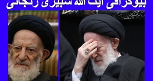 بیوگرافی آیت الله شبیری زنجانی مرجع تقلید شیعه + عکس و فعالیت ها