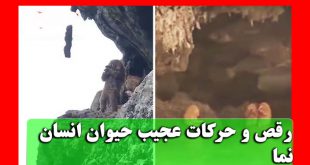 حیوان انسان نما و فیلم و آهنگ حیوان انسان نما +عکس با جزئیات
