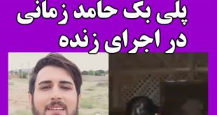 پلی‌بک‌ خوانی حامد زمانی + لورفتن پلی بک حامد زمانی در کنسرت