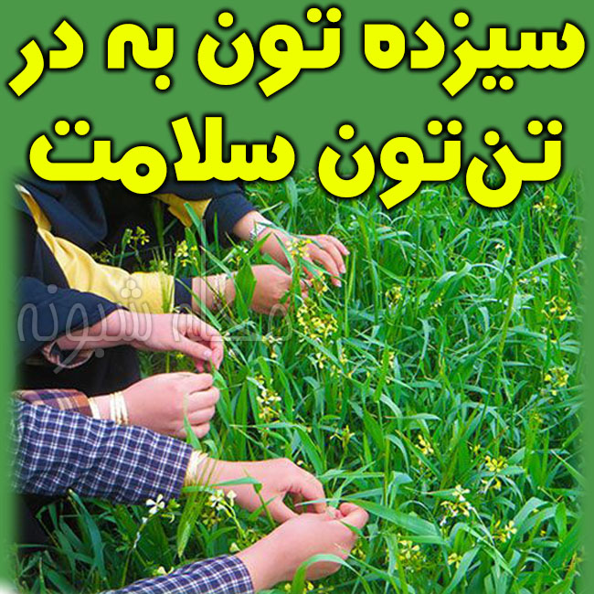 متن تبریک 13 بدر (سیزده بدر) برای گروه فامیل دوستان استیکر سیزده بدر مبارک