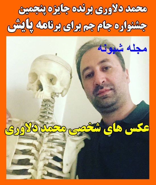 بیوگرافی محمد دلاوری