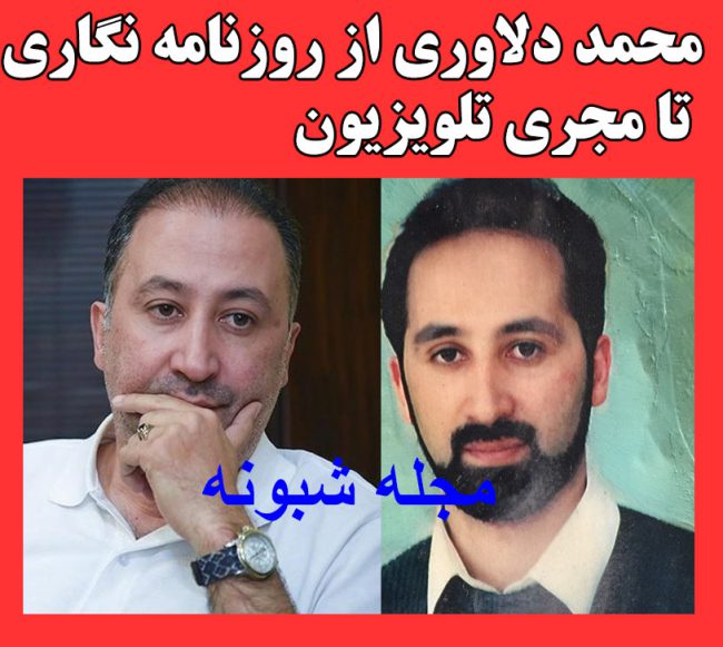 بیوگرافی محمد دلاوری