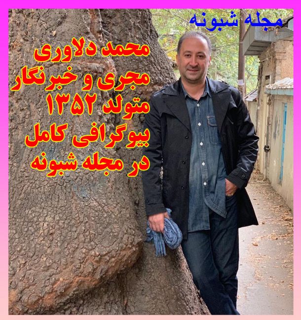 بیوگرافی محمد دلاوری