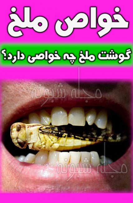 خواص خوردن ملخ + ارزش غذایی ملخ