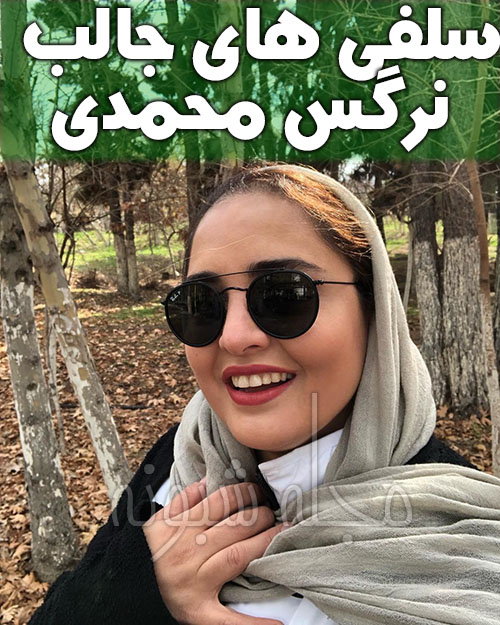 سلفی نرگس محمدی