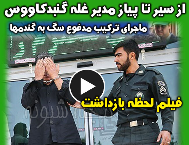 مدیر شرکت غله گنبدکاووس کیست؟ بازداشت و دستگیر برای ترکیب فضولات سگ به گندم
