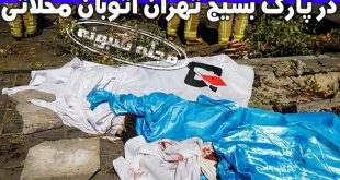 سقوط جرثقیل در پارک بسیج اتوبان محلاتی تهران +فیلم