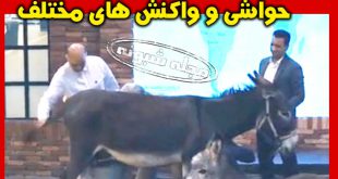 تبلیغ شیر خر و الاغ در شبکه 3 | تبلیغ شیر الاغ برنامه میدون شبکه سه