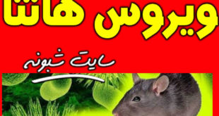 شیوع ویروس هانتا در چین | ویروس هانتا چیست؟ +نحوه انتقال