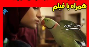 بوسه نیکا (نیکا) بر طوطی در سریال پایتخت 6 جنجال شد +عکس