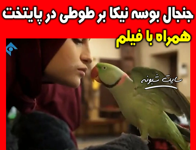 بوسه سارا (نیکا) بر طوطی در سریال پایتخت 6 جنجال شد +فیلم
