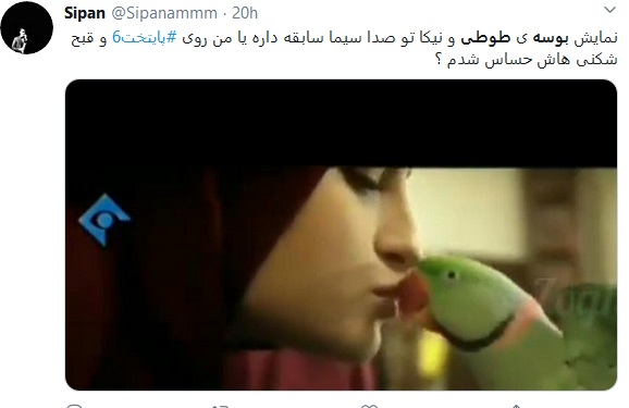 بوسه سارا , نیکا بر طوطی در سریال پایتخت 6 جنجال شد +فیلم