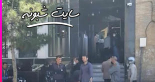 ماجرای گاو در بانک ملی چهار راه بازار قم + فیلم