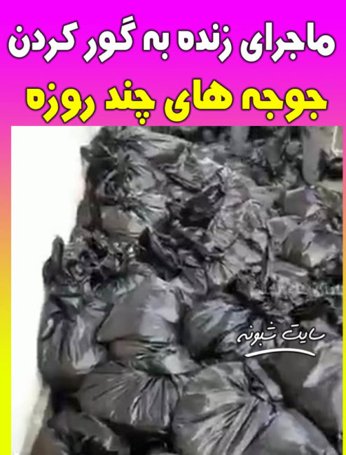 فیلم معدوم سازی جوجه های یک روزه و زنده به گور کردن جوجه های یک روزه