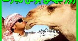 متن تبریک روز جهانی بوس 2020 +پیامک تبریک روز جهانی بوس مبارک