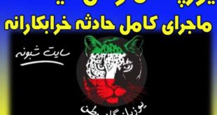یوزپلنگان وطن حادثه نطنز کیستند؟ و چه کسانی هستند؟
