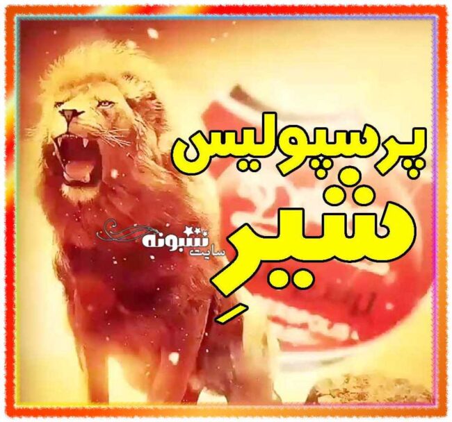 عکس پروفایل پرسپولیس شیره و برنده سلطان + عکس نوشته پرسپولیس