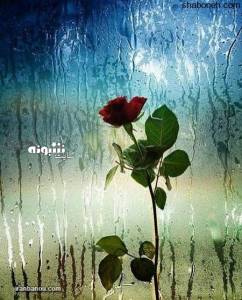 عکس پروفایل بارانی و عکس نوشته درباره باران همراه متن