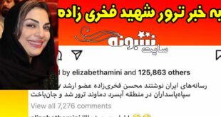 کامنت توهین الیزابت امینی درباره ترور شهید فخری زاده +عکس