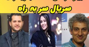 بیوگرافی سریال سر به راه