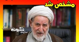 علت درگذشت و فوت آیت‌ الله یزدی (محمد یزدی) چه بود؟