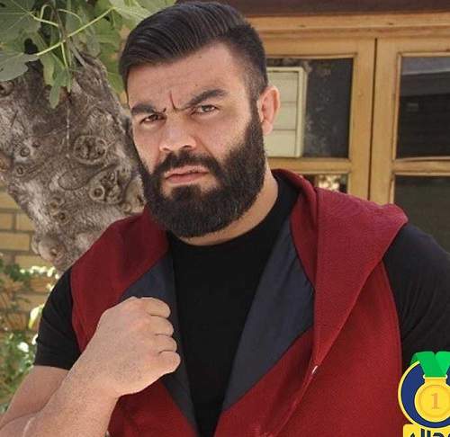 زندگینامه امیر علی اکبری یو اف سی کار mma +فیلم مبارزه ها و عکس