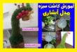 آموزش کاشت سبزه آبشاری عید نوروز 1403 و معلق مدل جدید