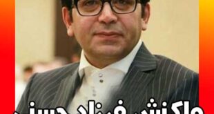 واکنش فرزاد حسنی به فوت آزاده نامداری