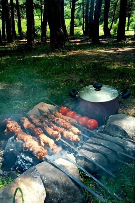عکس جوجه کباب روی زغال در طبیعت و سیزده بدر پروفایل
