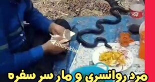 مرد روانسری و مار سر سفره سیب زمینی و نوشابه میخورد (فیلم)