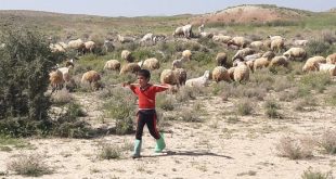 ماجرای فیلم کودک آزار پسر بچه چوپان طرفدار استقلال