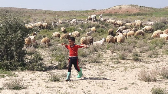 ماجرای فیلم کودک آزار پسر بچه چوپان طرفدار استقلال