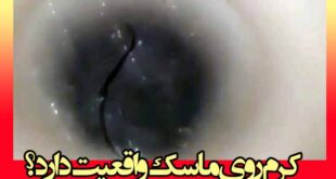 کرم روی ماسک واقعیت دارد؟ +فیلم جنجالی