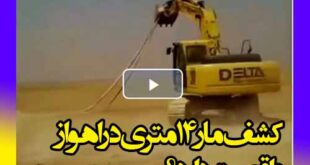 کشف مار 14 متری در اهواز واقعیت دارد؟ +فیلم و جزئیات