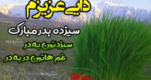 متن تبریک سیزده بدر به دایی و زن دایی (استیکر 13 بدر مبارک)