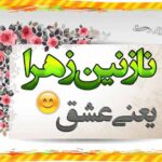 عکس پروفایل نازنین زهرا و عکس نوشته اسم نازنین زهرا برای پروفایل