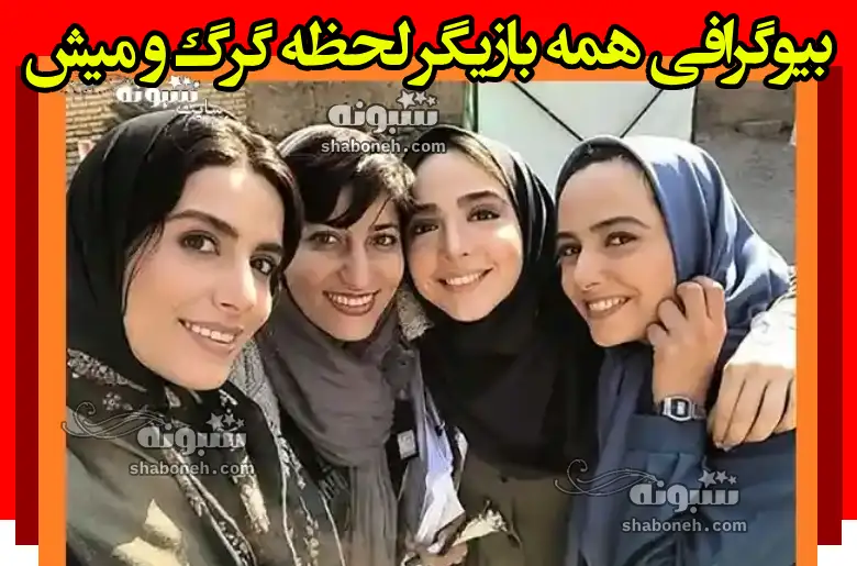 بیوگرافی بازیگران سریال لحظه گرگ و میش با نقش +عکس و پشت صحنه