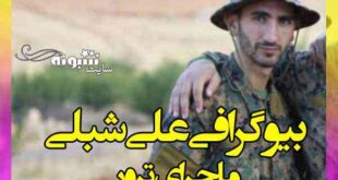 بیوگرافی علی شبلی عضو حزب الله +علت ترور و فیلم کشته شدن