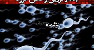 واکسن کرونا اسپرم را افزایش میدهد +منبع این خبر