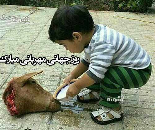 متن و پیام تبریک روز جهانی مهربانی 2021 +عکس نوشته استوری و پروفایل