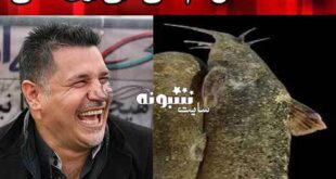ماجرای ماهی علی دایی چیست و علت انتخاب نام علی دایی روی ماهی