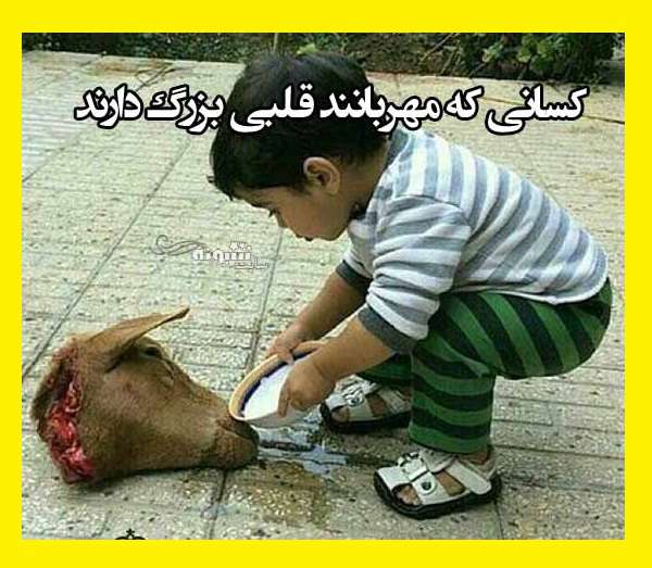 متن زیبا درباره مهربانی و محبت کردن +عکس نوشته استوری و بیو پروفایل