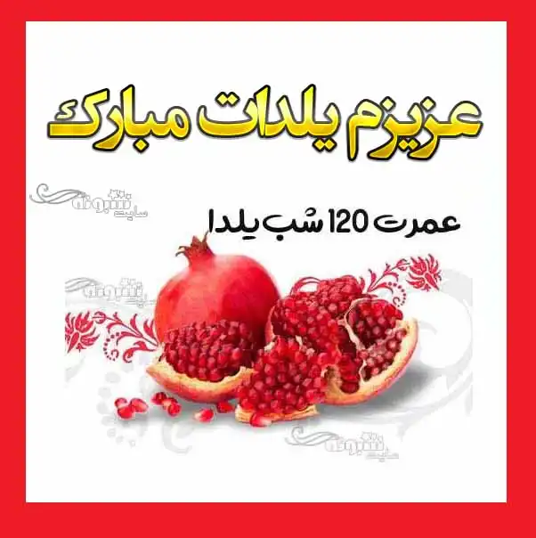 عزیزم یلدات مبارک (پیام و استیکر و عکس نوشته و کلیپ)