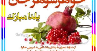 متن و پیام تبریک شب یلدا به خواهر شوهر عزیزم +کلیپ و عکس استوری