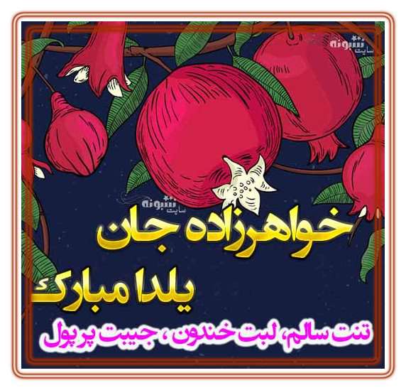 متن و پیام تبریک شب یلدا به خواهرزاده و برای خواهرزاده ام یلدا مبارک +کلیپ و عکس استوری